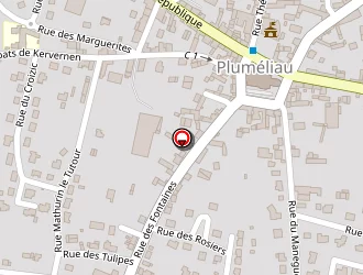 Carte de Jégoux à Pluméliau