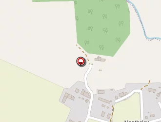 Carte de Lelièvre Georges à Laillé