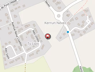 Carte de Boubennec Johann à Plomelin