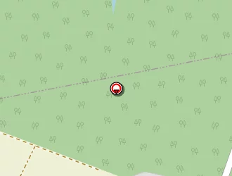 Carte de Ferreira Manuel à Champlay