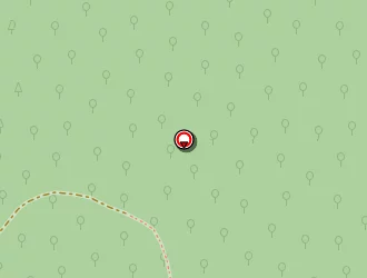 Carte de Petit Casino à Rouffach