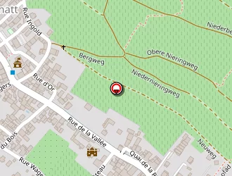 Carte de Schirmer Fleurs à Soultzmatt