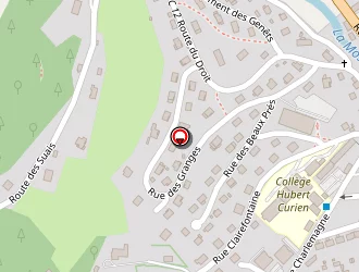 Carte de Gerard Dominique à Cornimont