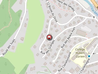 Carte de Hiviaco 88 à Cornimont