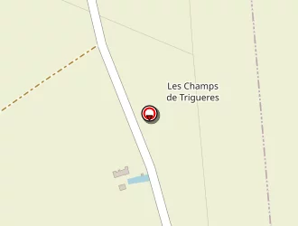 Carte de Ambulance Du Lys à Triguères