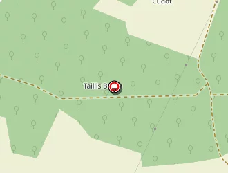 Carte de Morvan Cedric à Bubry