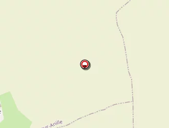 Carte de Lecomte Sylvain à Saint-calais