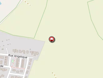 Carte de Faisca Jaïme à Guichen