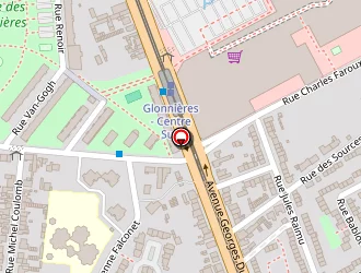 Carte de Friboulet Jérôme à Mans (le)