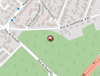 Carte de Ctf à Mans (le)