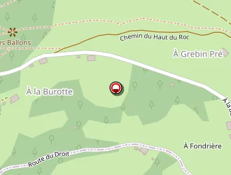 Carte de Electricité Immo Services à Thiéfosse