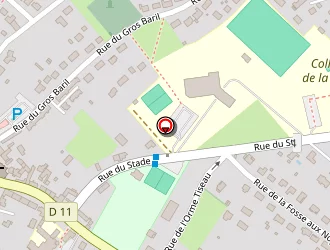 Carte de Complexe Sportif à Traînou