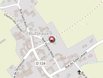 Carte de Berthelin Michel à Butteaux