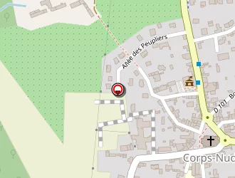 Carte de Bouchon Tracy Hudson à Corps-nuds