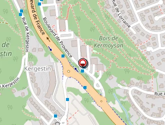 Carte de Bernard Mik à Quimper