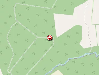 Carte de Ziegler Anne à Laillé