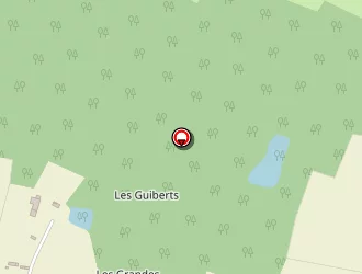 Carte de Robby-services à Saint-germain-des-prés