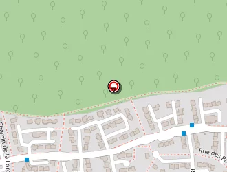 Carte de Cluze Jean-guy à Laillé