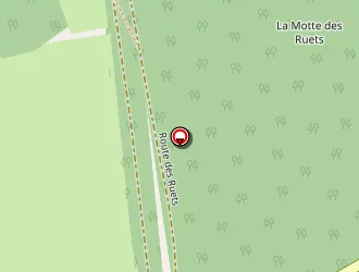 Carte de Dauffay Fabien à Sully-la-chapelle