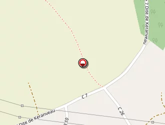 Carte de Des Alizes (earl) à Elliant