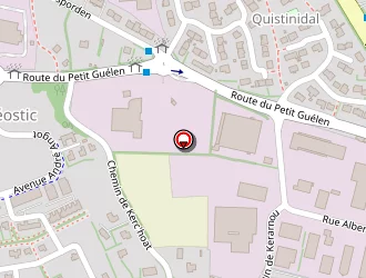 Carte de Frans Bonhomme à Quimper