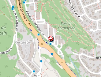 Carte de Tousdoux Kévin à Quimper