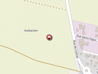 Carte de Carrosserie Dirringer à Dessenheim