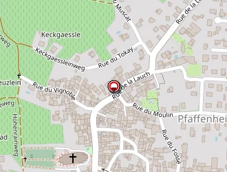 Carte de Mairie à Pfaffenheim