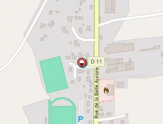 Carte de Optique Reguiny à Réguiny