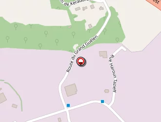 Carte de Elm Leblanc Engie Home Services-savelys Sav Agréé à Quimper