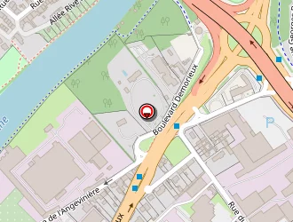 Carte de Amicale Régionale Du Groupe Renault (a.r.g.r) à Mans (le)