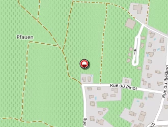 Carte de Rieflé Christophe à Pfaffenheim