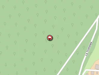 Carte de Vial René à Bellefontaine