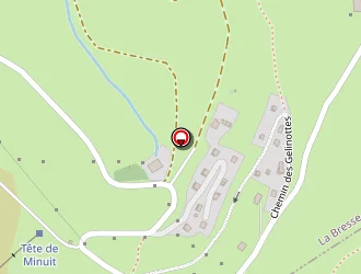 Carte de Géhin Bernard à Bresse (la)