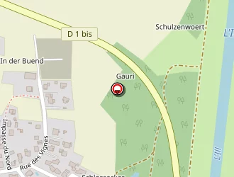 Carte de Schmidt Anthony à Niederhergheim