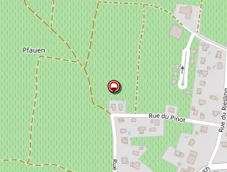 Carte de Zwickert Jean Jacques à Pfaffenheim