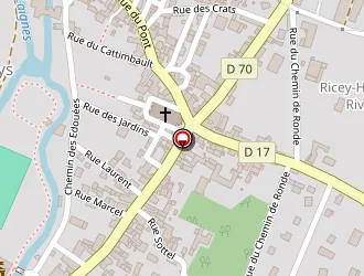 Carte de Clerget Philippe (earl) à Riceys (les)