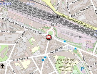 Carte de Roinné Michel à Mans (le)