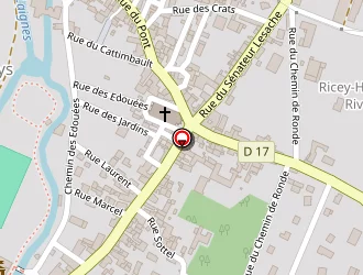 Carte de Guyard-lamoureux Philippe à Riceys (les)