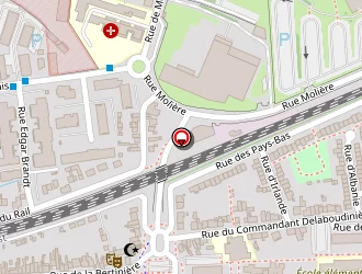 Carte de Vericheck à Mans (le)