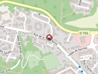 Carte de Rougé Vincent à Quimper