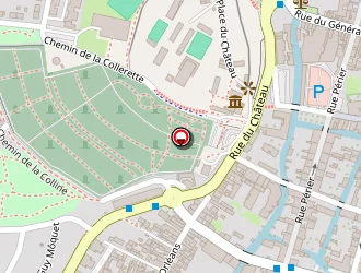 Carte de Mylène Voyance à Montargis