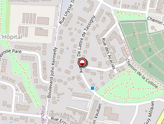 Carte de Rouhaud Thierry à Montargis