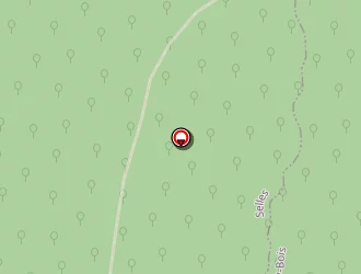 Carte de Corniani Jean-louis à Selles