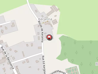 Carte de Salon De Coiffure Meslan à Meslan