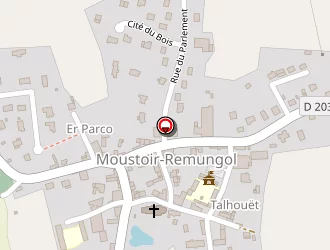 Carte de Guegan Erwan L Epicerie à Moustoir-remungol