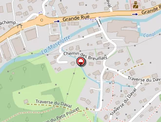 Carte de Mougel Henri à Bresse (la)