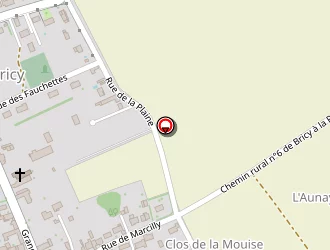 Carte de Auclin Laurent à Bricy