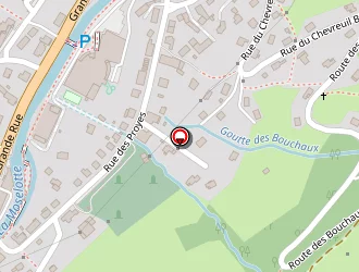 Carte de Huser Serge à Bresse (la)