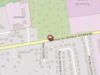 Carte de De Sousa Manuel Alvaro à Amilly